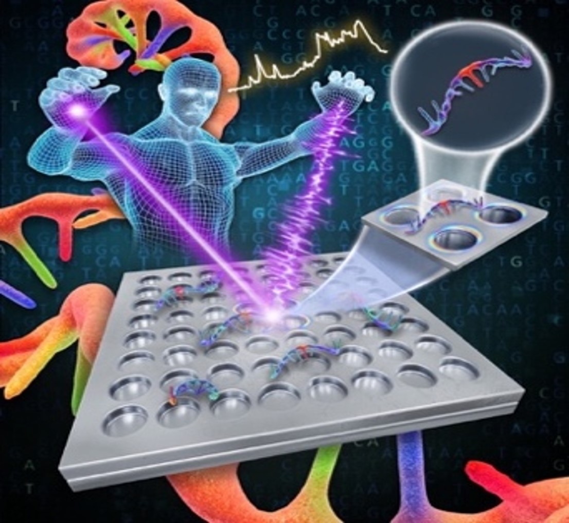 Electromagnetic and Chemical mechanism Dual-Enhancement SERS Substrate Based on Au Metasurface/WTe2 film for Ultrasensitive, Electrically Modulated Selective Detection